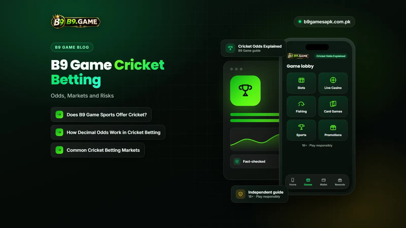 Cricket Odds Explained Cricket bat and ball with decimal odds for the B9 Game cricket betting guide
