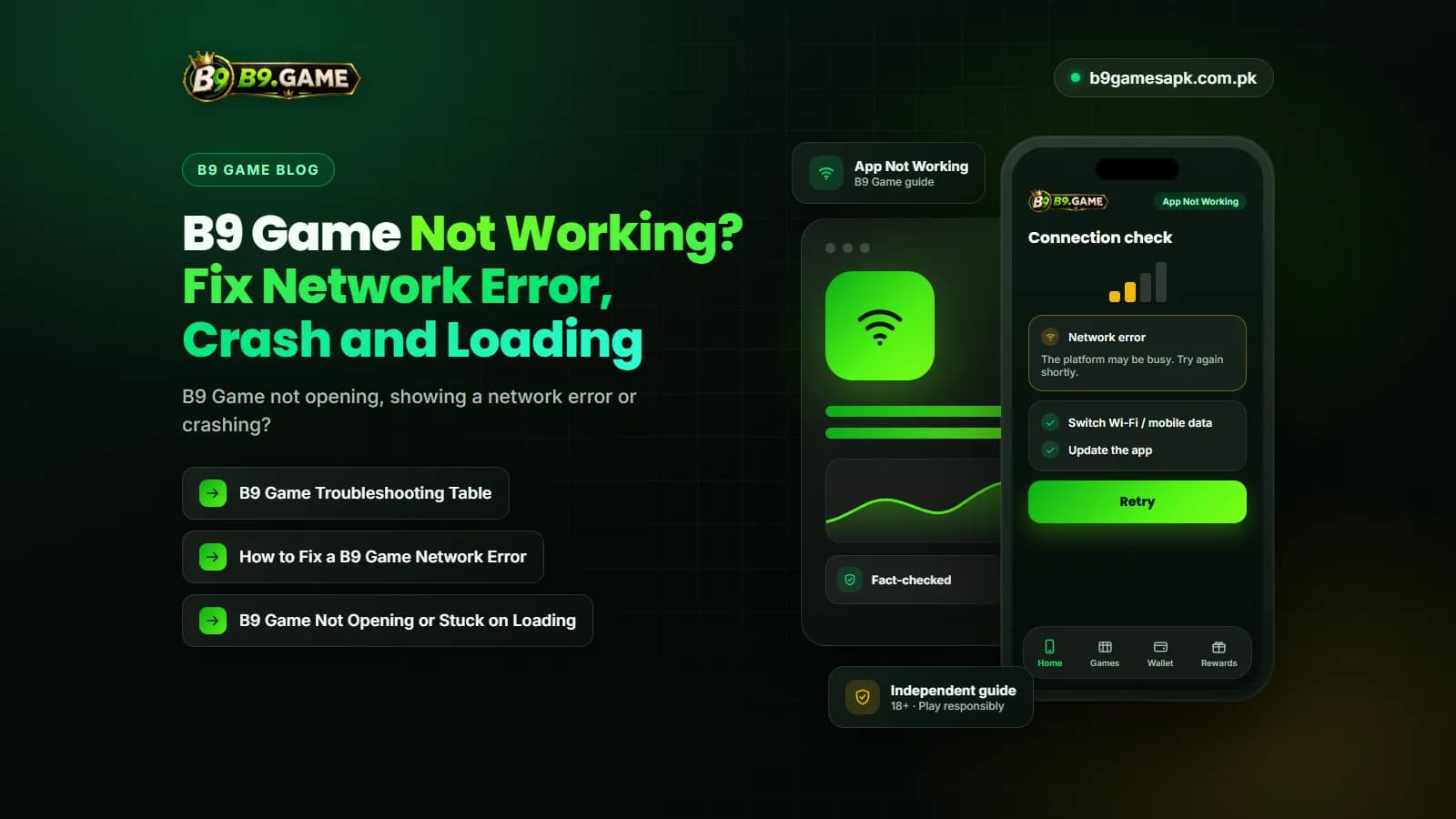 App Not Working Phone showing a network error with troubleshooting steps for B9 Game not working