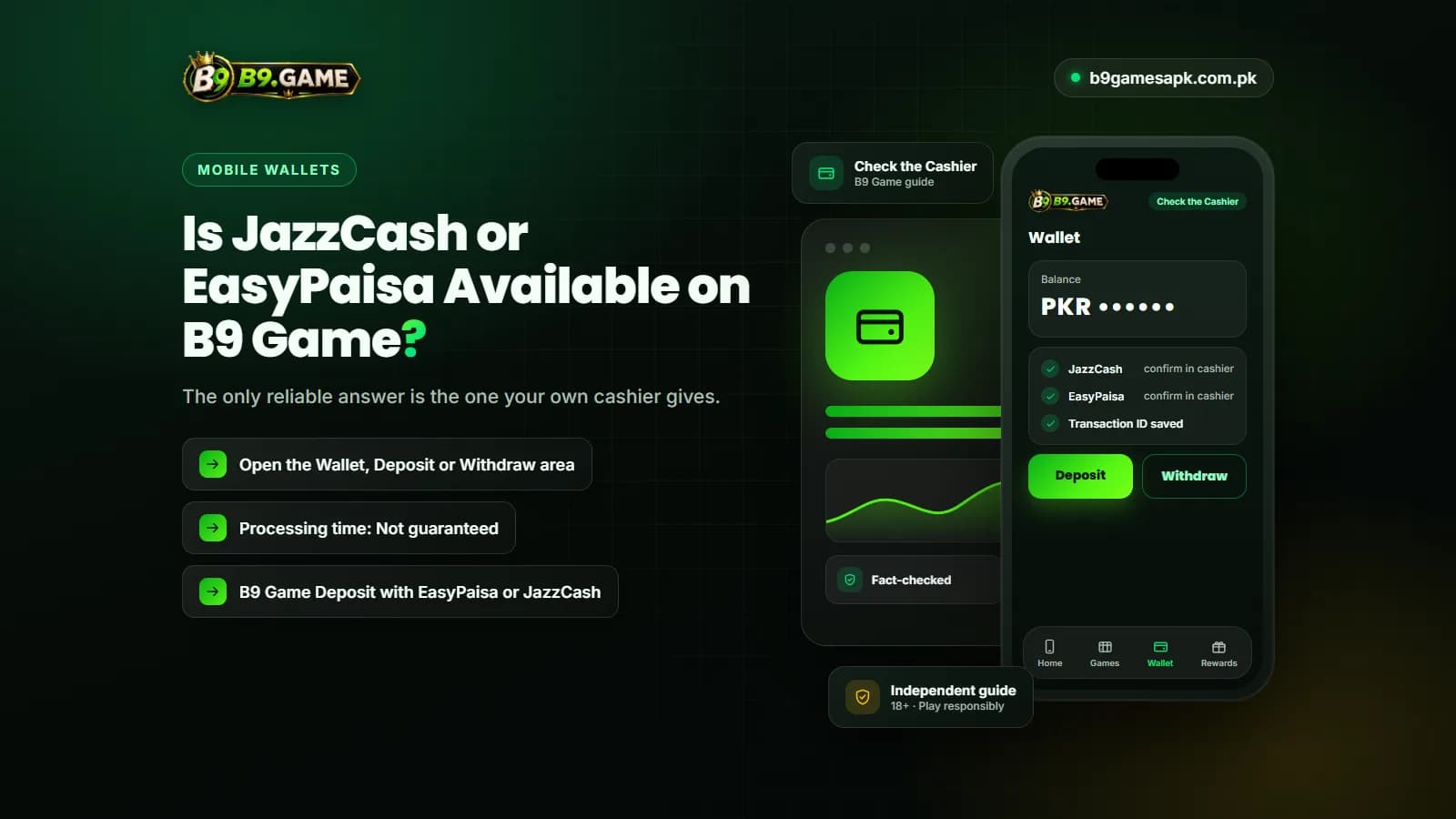 Check the Cashier Confirming JazzCash or EasyPaisa availability in the B9 Game cashier